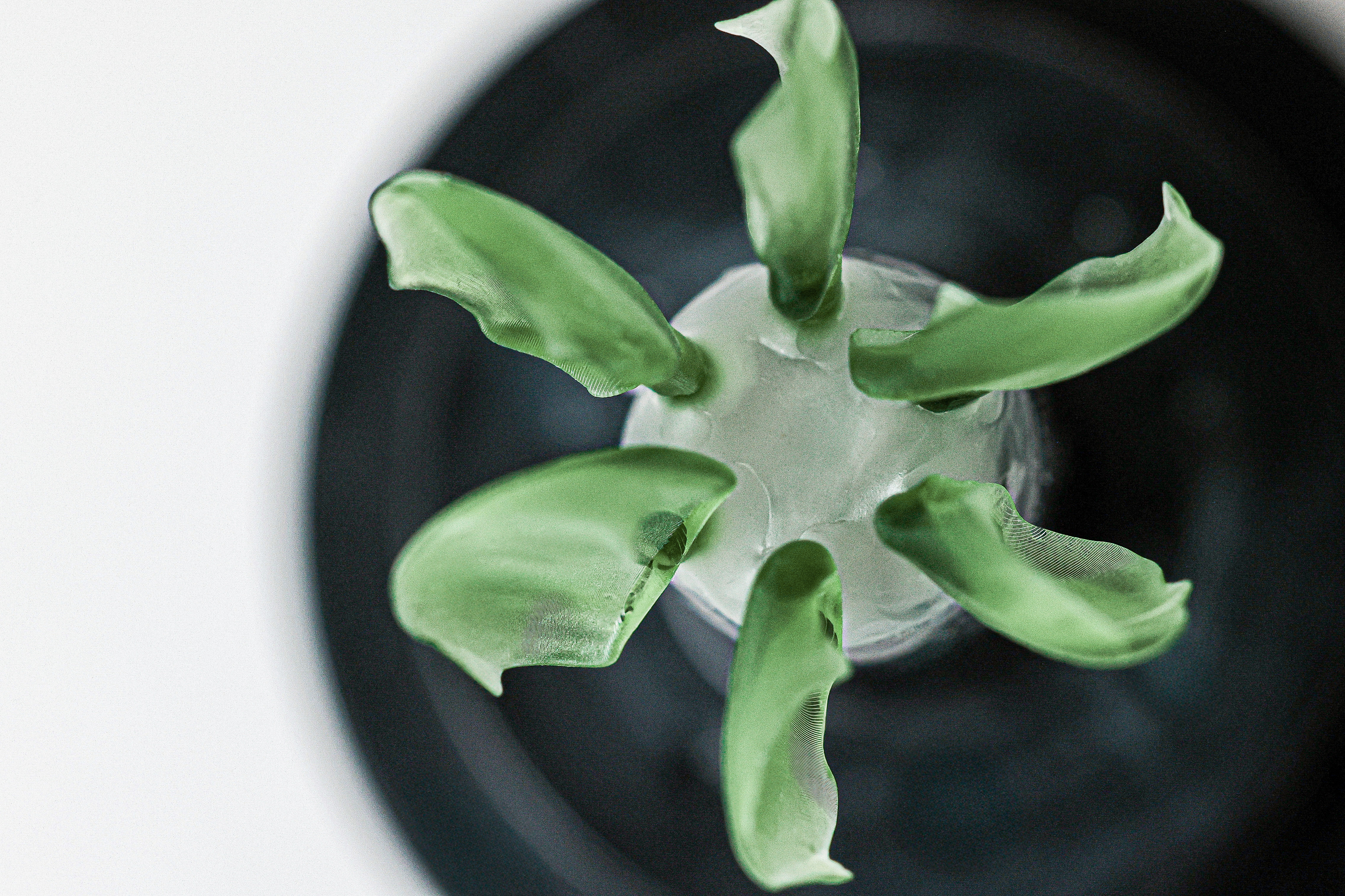 asdgasdg 파노라마 Before